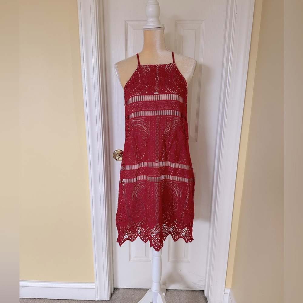 Francesca's Collections Red Lace Dress